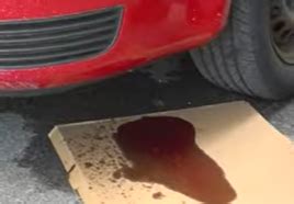 car leaking red|Red Fluid Leaking From a Car – Explained